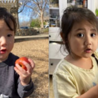 MATEO & ATHENA LEE: Missing from Sacramento, CA - 8 July 2024 - Age 2 & 4